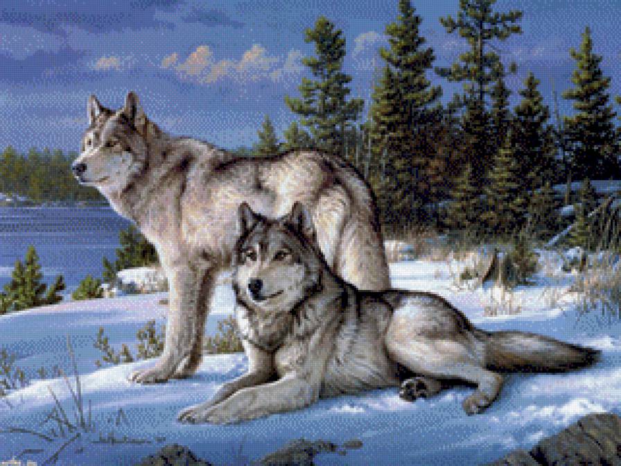 волки - пейзаж, хищники, картина, картины - предпросмотр