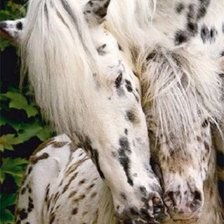 Схема вышивки «мамина забота»