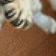 Предпросмотр схемы вышивки «Кисы» (№475179)