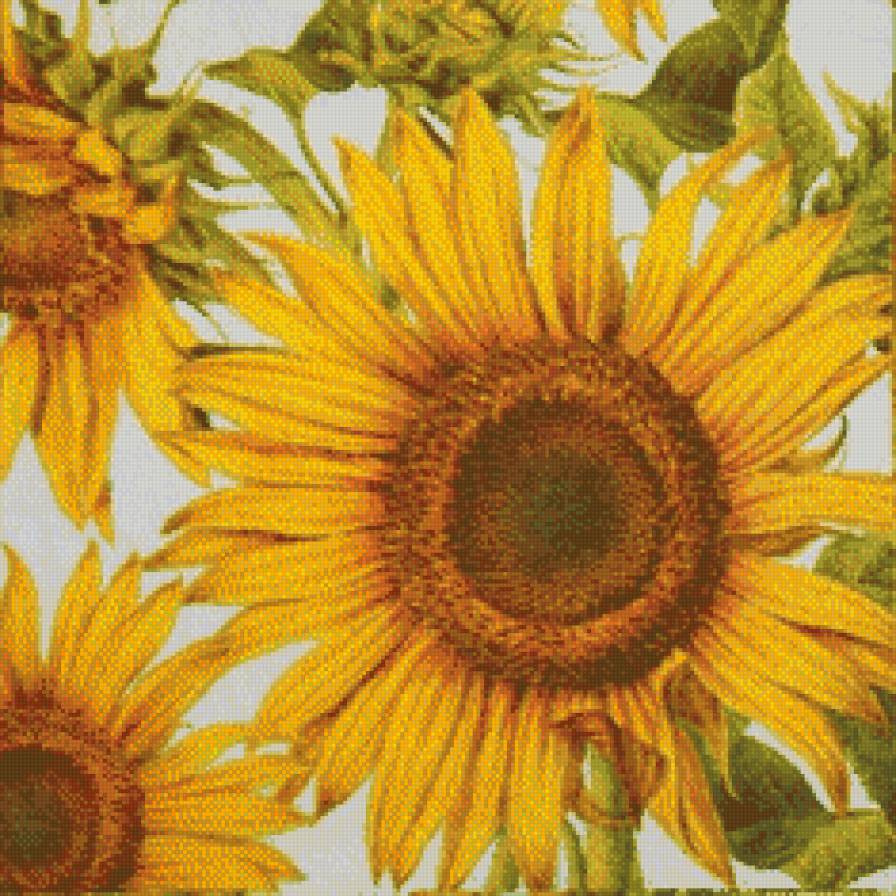 подсолнух на подушку - подушка, подсолнухи, букет, цветы - предпросмотр