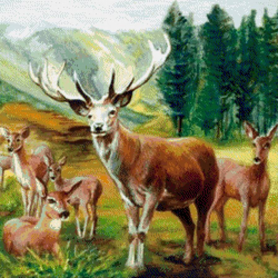 олени - лес, животные, природа, олени - предпросмотр