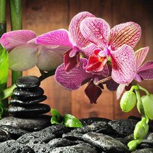 Схема вышивки «орхидея»