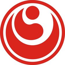 Схема вышивки «shinkyokushin»