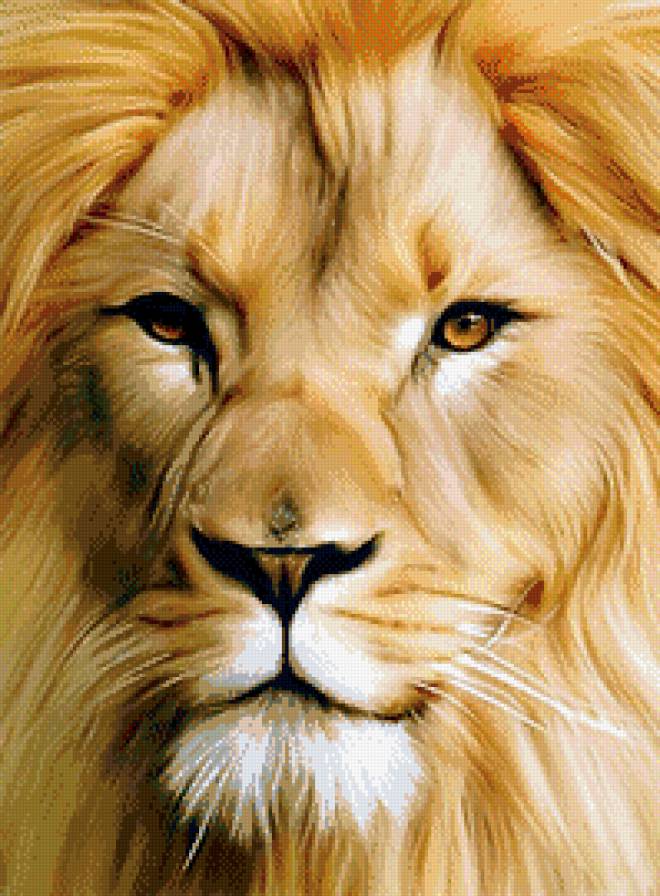 царь - лев, взгляд, портрет, хищник, живопись - предпросмотр