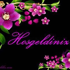 hos geldiniz