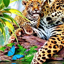 Схема вышивки «дикая семья часть 1»