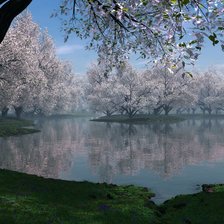 Схема вышивки «озеро»