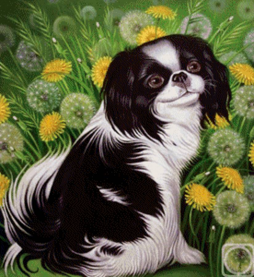 Любимец - одуванчики, собаки, животные, цветы - предпросмотр