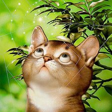 Схема вышивки «Котенок в траве»