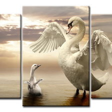 лебедь мама и сынок