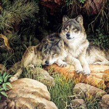 Схема вышивки «Отдыхающие волки»