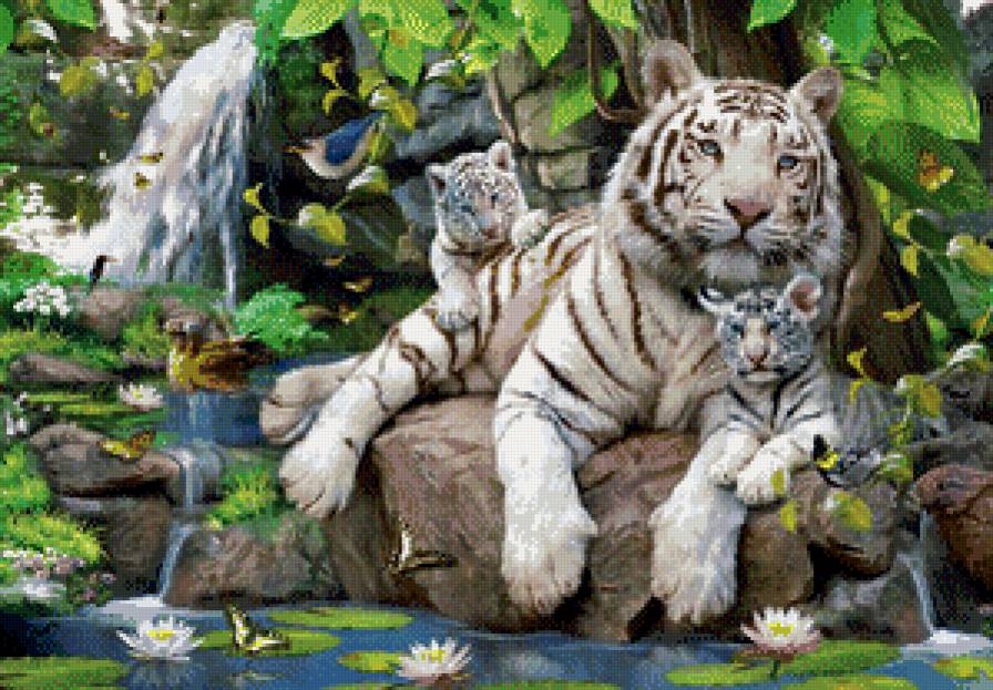 тигр - тигр, дикая кошка, хищник, природа, картина - предпросмотр