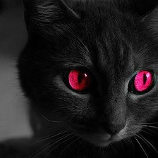 Схема вышивки «Киса»