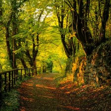 Схема вышивки «осень»