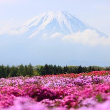 Схема вышивки «45»