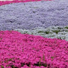 Схема вышивки «3»