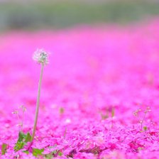 Схема вышивки «3»