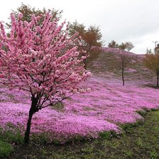Схема вышивки «3»