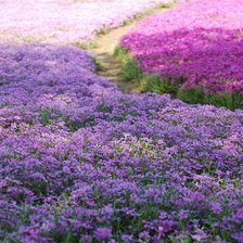 Схема вышивки «3»