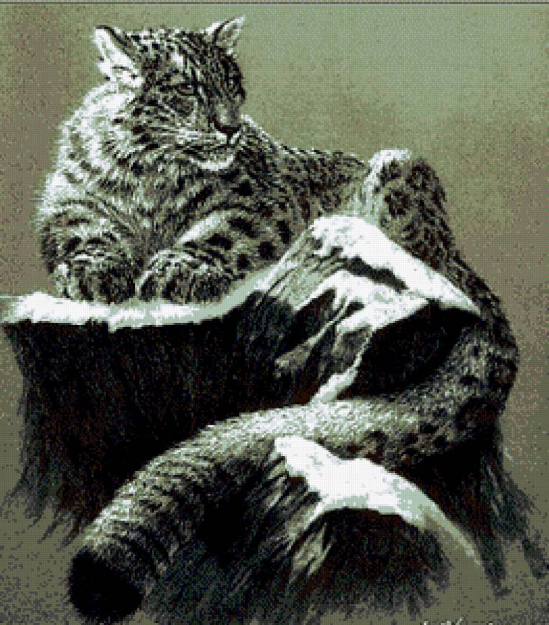 ирбис - дикие кошки - предпросмотр