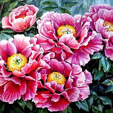 Схема вышивки «Цветущие пионы»