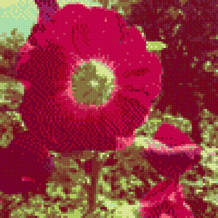 Малиновое лето - лето, сад, цветы - предпросмотр