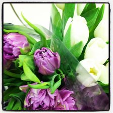 Схема вышивки «Тюльпаны»