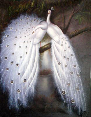 райские птицы 2 - павлины, птицы - оригинал