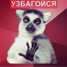 Схема вышивки «Лемур 2»