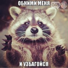 Схема вышивки «Лемур 3»