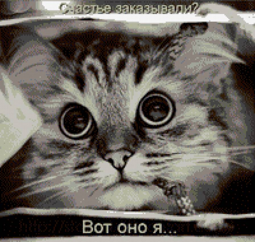 счастье - предпросмотр