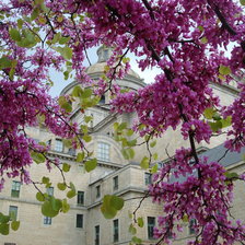 Схема вышивки «Эскориал»