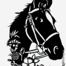 Схема вышивки «лошадка чер-бел»