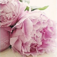 Схема вышивки «Цветы»