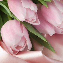 Схема вышивки «Цветы»