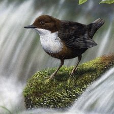 Схема вышивки «Серия "Птицы"»