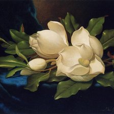 Схема вышивки «Магнолия»