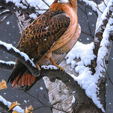 Схема вышивки «Серия "Птицы"»