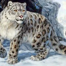 Схема вышивки «IRBIS»