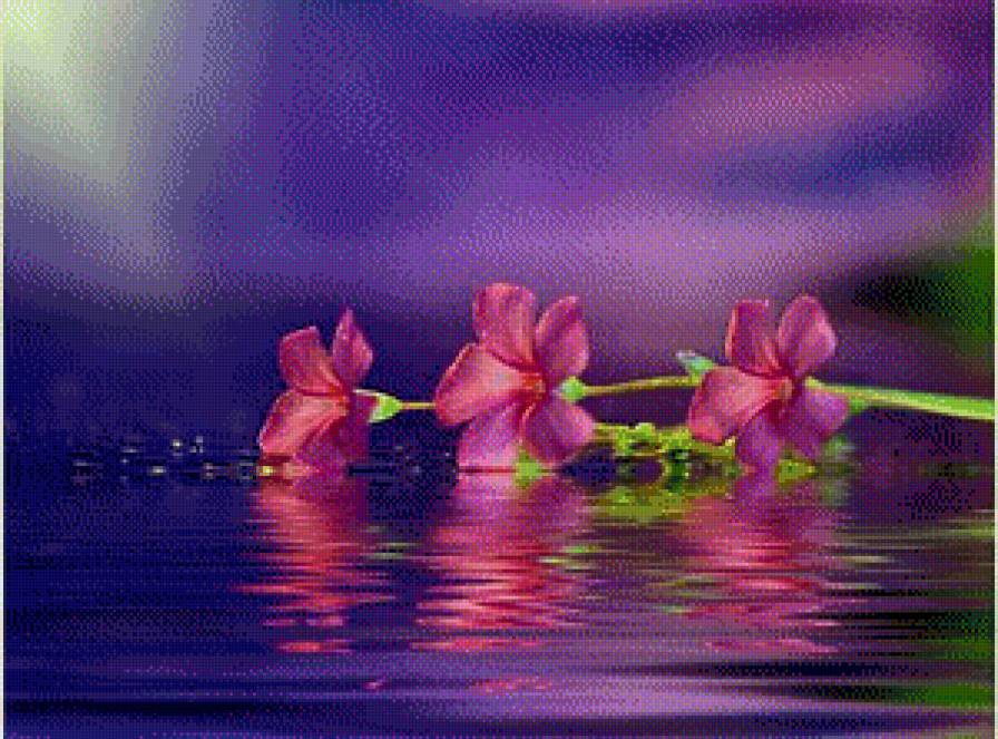 №477526 - цветы - предпросмотр