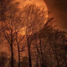 Схема вышивки «Осенняя ночь»