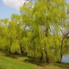 Схема вышивки «Пейзаж»