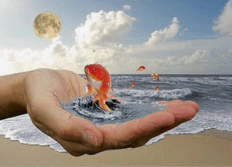 Рыбка - предпросмотр