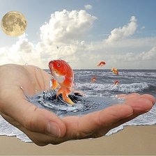 Схема вышивки «Рыбка»