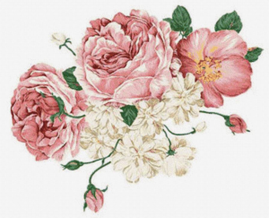 Роза - розы, цветы, букет - предпросмотр