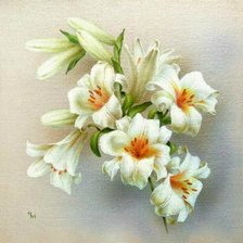 Схема вышивки «Цветы»