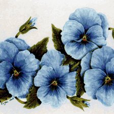 Схема вышивки «Анютины глазки»