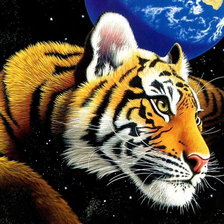 Схема вышивки «№478125»