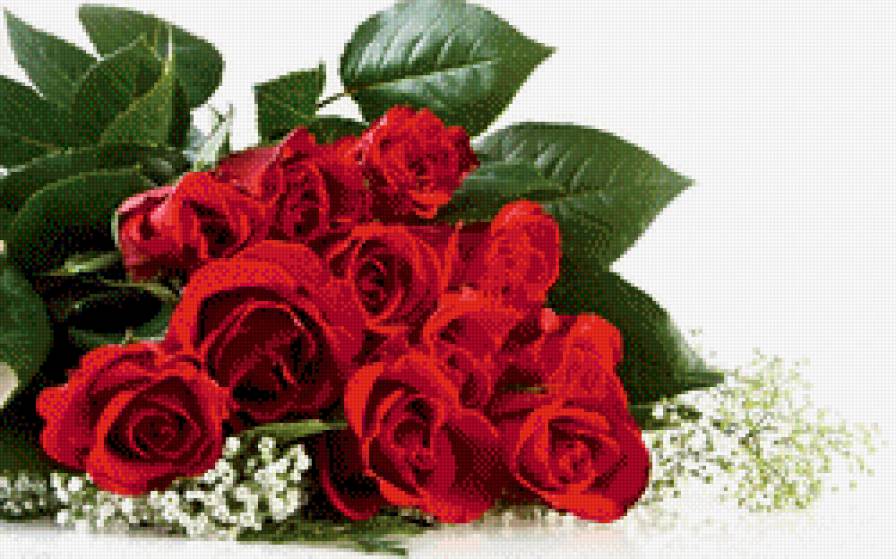 букет роз - букет, розы - предпросмотр