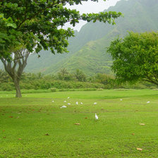 Схема вышивки «природа»